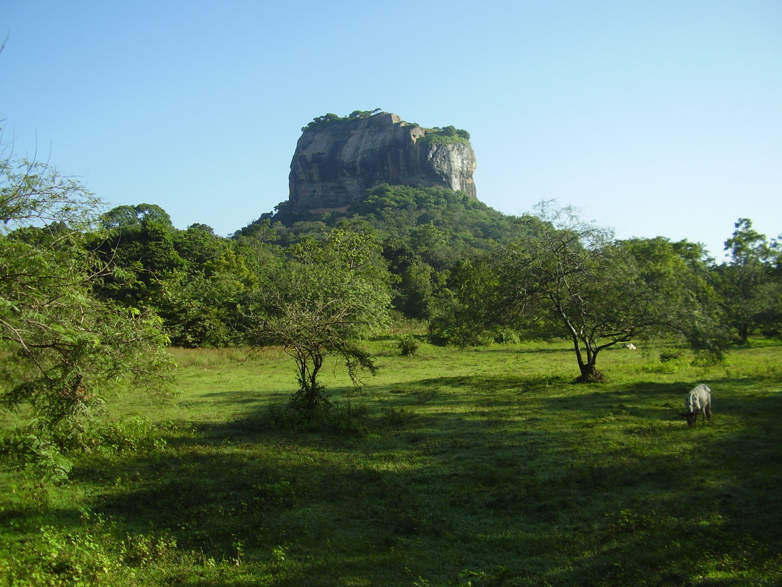 sri_lanka_dot_026.JPG