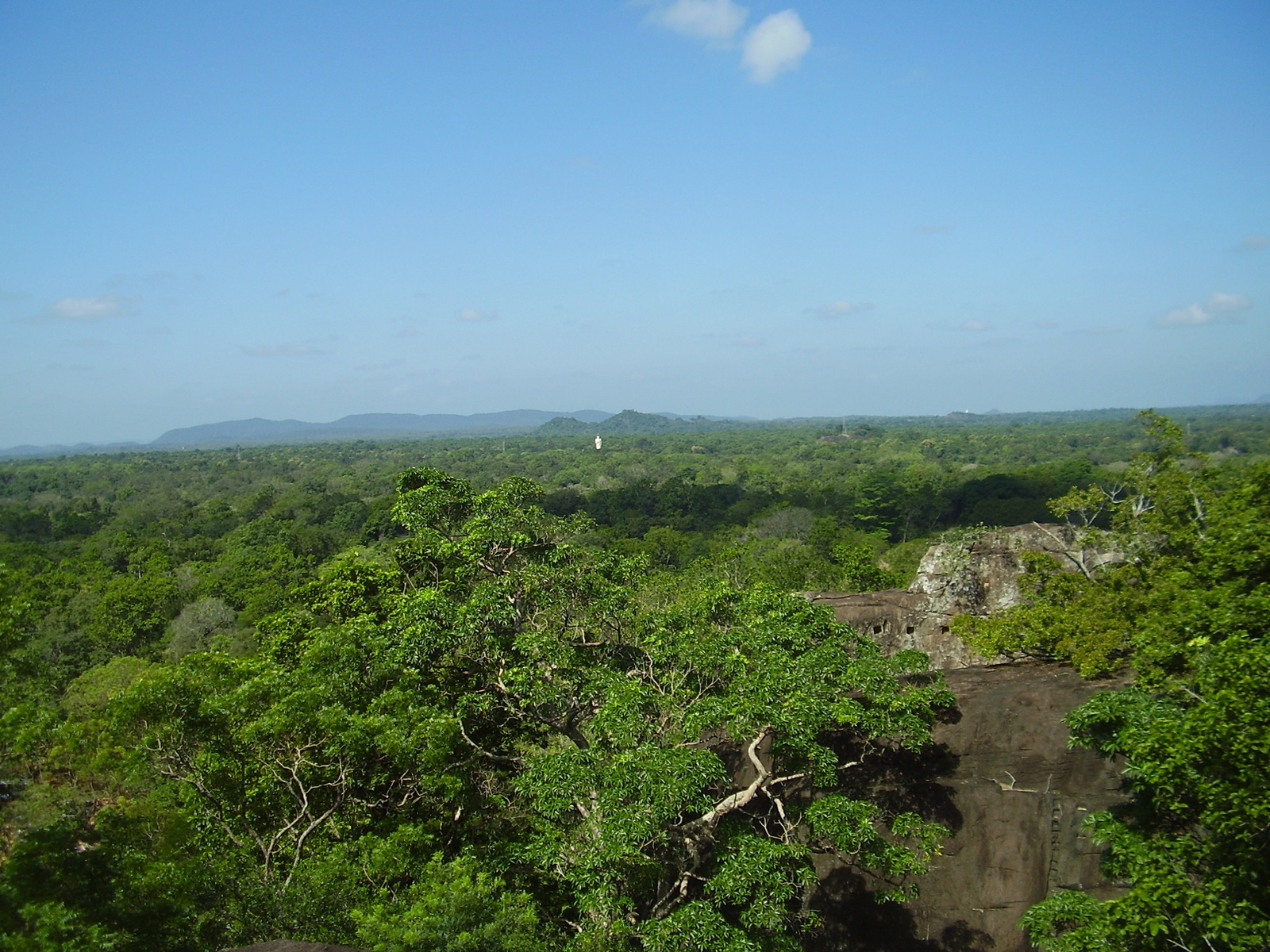 sri_lanka_dot_035.JPG