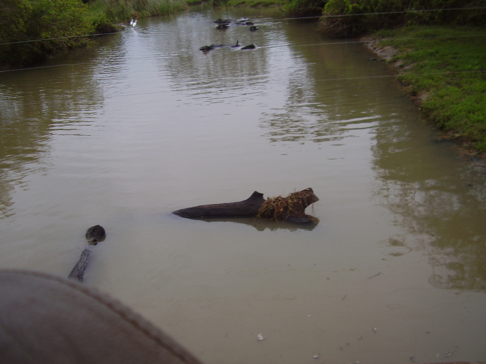 sri_lanka_dot_052.JPG