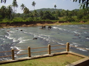 sri_lanka_dot_013.JPG