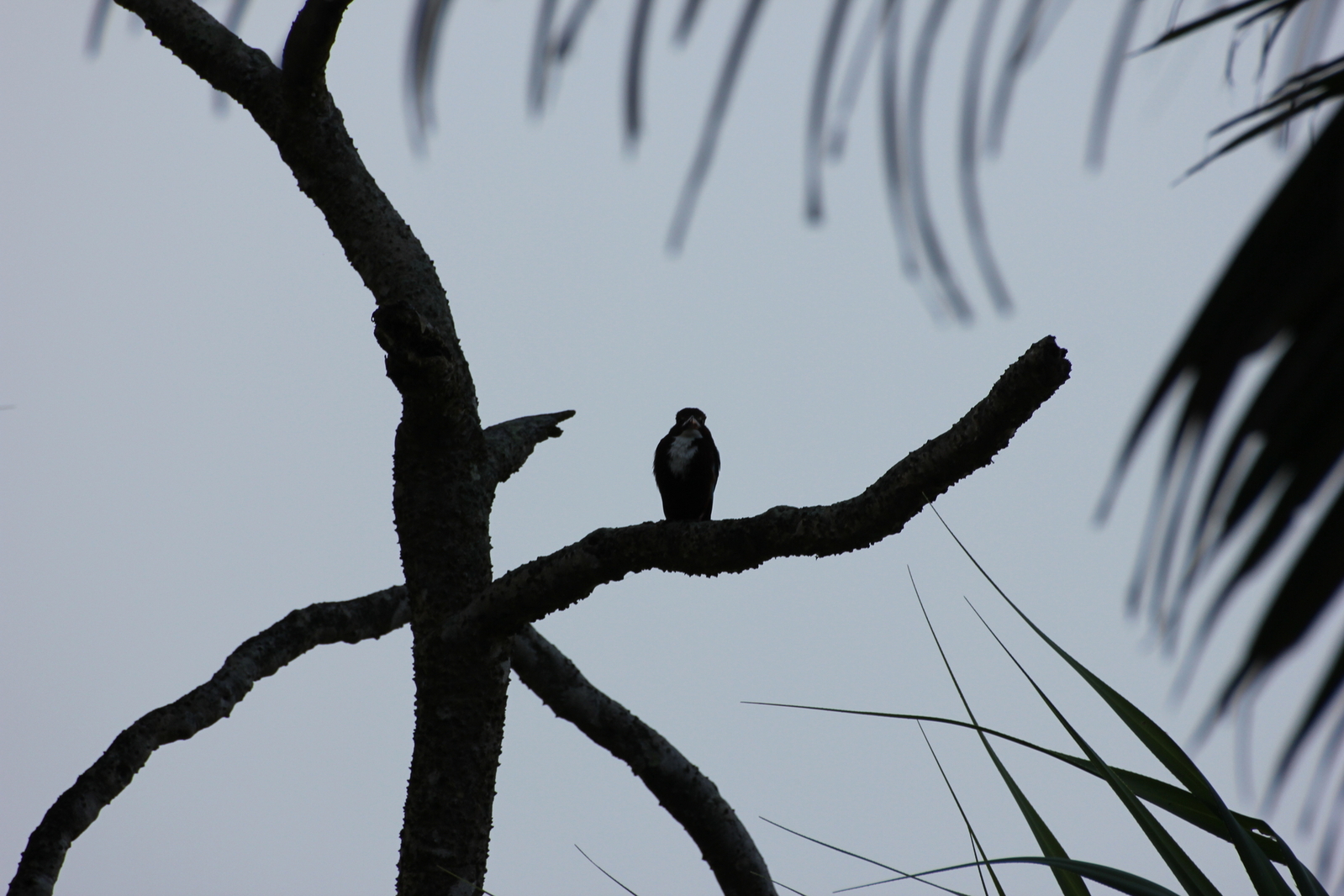 sri_lanka_023.JPG