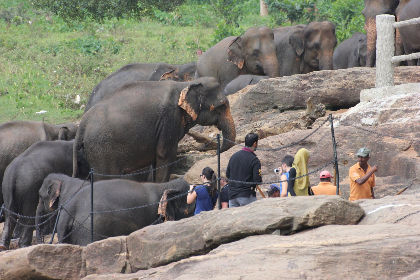 sri_lanka_042.JPG