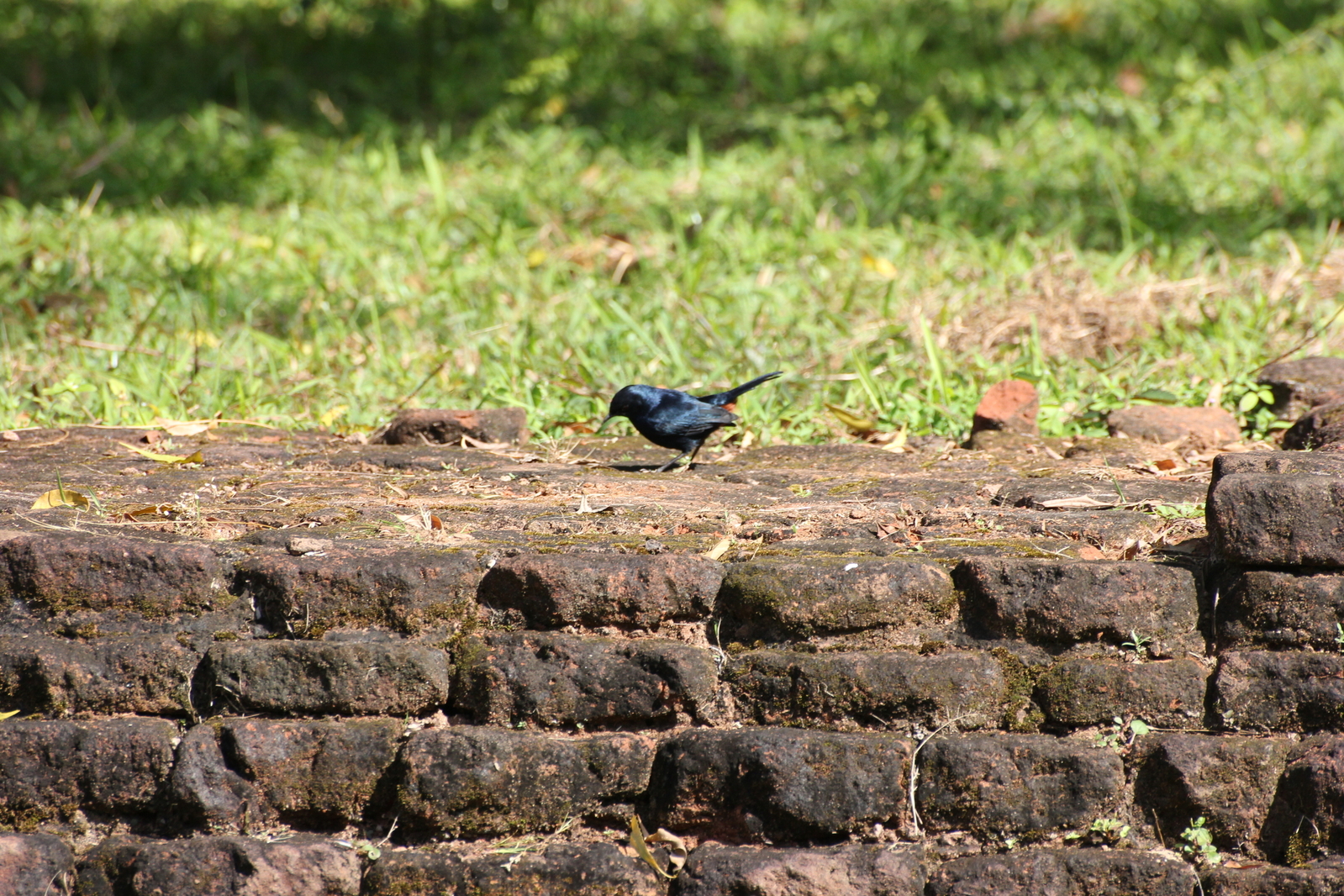 sri_lanka_079.JPG