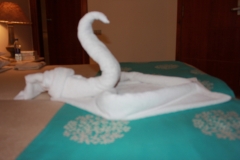 IMG_0051_-_Copy_28229