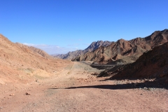 IMG_0079_-_Copy