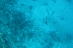 IMG_0156