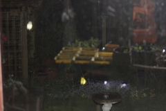 garden_005