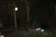 garden_006