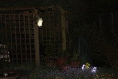 garden_007