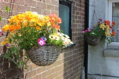 garden_015