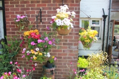 garden_016