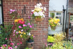 garden_017