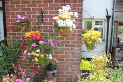 garden_018