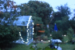 garden_026