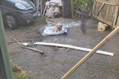 IMG_20251222_143929