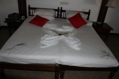 sri_lanka_013