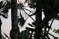 sri_lanka_020