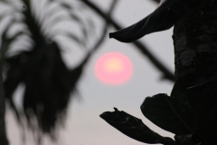 sri_lanka_022