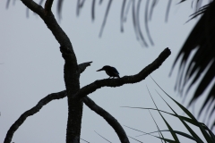 sri_lanka_024