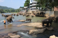 sri_lanka_025