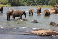 sri_lanka_027
