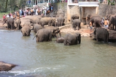 sri_lanka_028