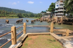 sri_lanka_031