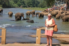 sri_lanka_033