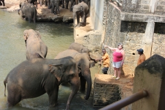 sri_lanka_034