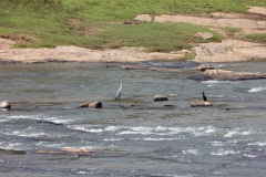 sri_lanka_036