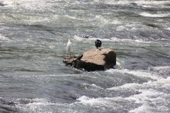 sri_lanka_037