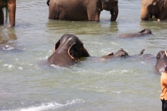 sri_lanka_040