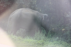 sri_lanka_047