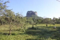 sri_lanka_058