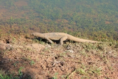 sri_lanka_071