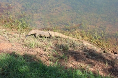 sri_lanka_072