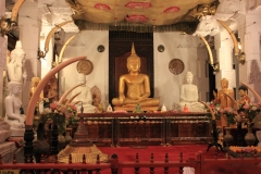 sri_lanka_104