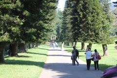 sri_lanka_122