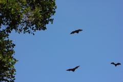 sri_lanka_134
