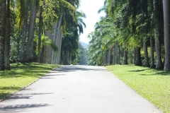sri_lanka_139