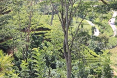sri_lanka_140