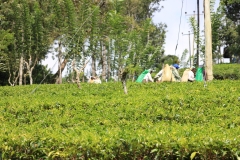sri_lanka_145
