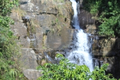 sri_lanka_146