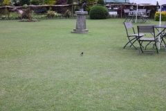 sri_lanka_150