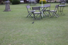 sri_lanka_151