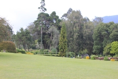 sri_lanka_154