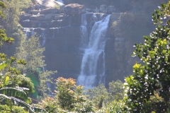 sri_lanka_165