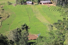 sri_lanka_167