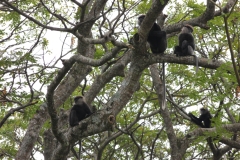 sri_lanka_178