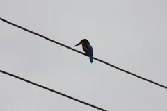 sri_lanka_180